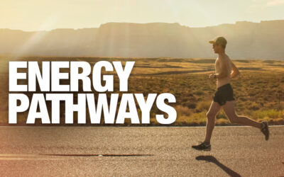 Explaining the Two Energy Pathways You Must Understand as a Nutrition Coach