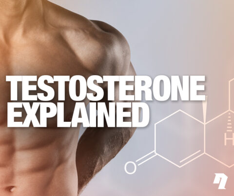 Explaining the Role that Testosterone Plays in the Body (And Three ...