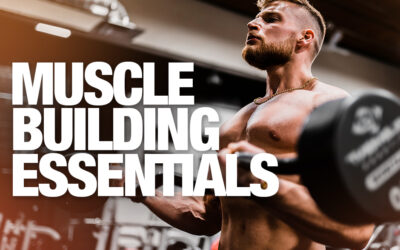 THE ESSENTIAL MUSCLE BUILDING SUPPLEMENTS