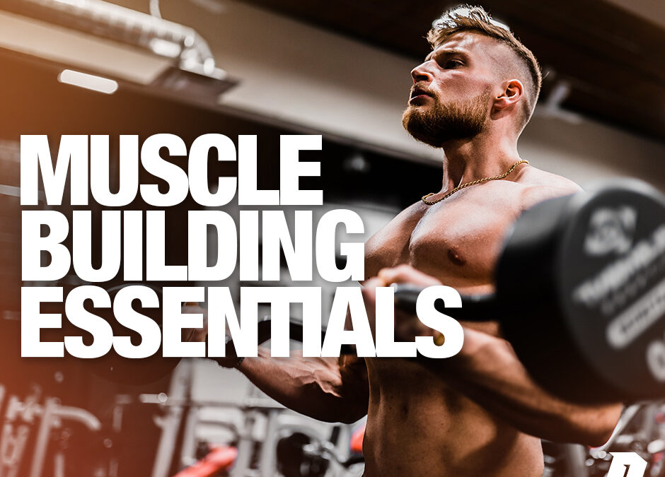 THE ESSENTIAL MUSCLE BUILDING SUPPLEMENTS